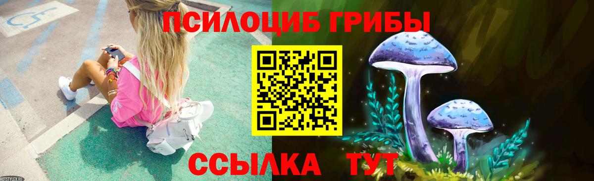 Псилоцибиновые грибы ЛСД  купить наркотики сайты  Россия  Вход с VPN 